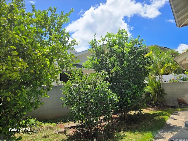 94-1008 Makakoa Loop, Waipahu, HI 96797 - view of yard