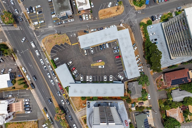 909 University Ave Unit 210, Honolulu, HI 96826 - photo 17