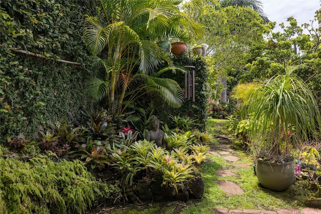2316 Round Top Dr, Honolulu, HI 96822 - view of yard