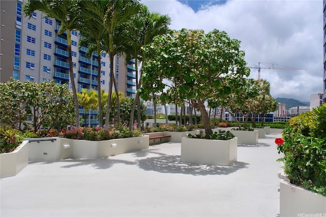 876 Curtis St Unit 2109, Honolulu, HI 96813 - photo 10