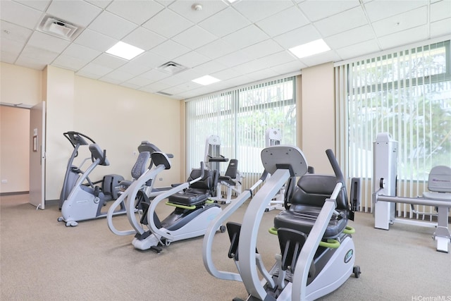 1314 Kalakaua Ave Unit 413, Honolulu, HI 96826 - exercise room with a paneled ceiling and carpet