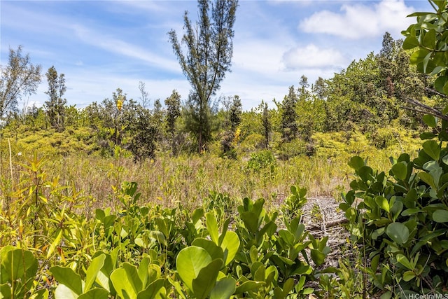15-929 Lemiwai Rd, Keaau, HI 96749
