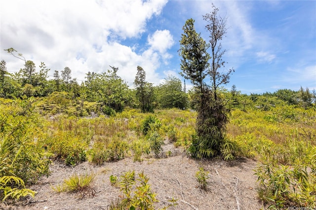 15-929 Lemiwai Rd, Keaau, HI 96749