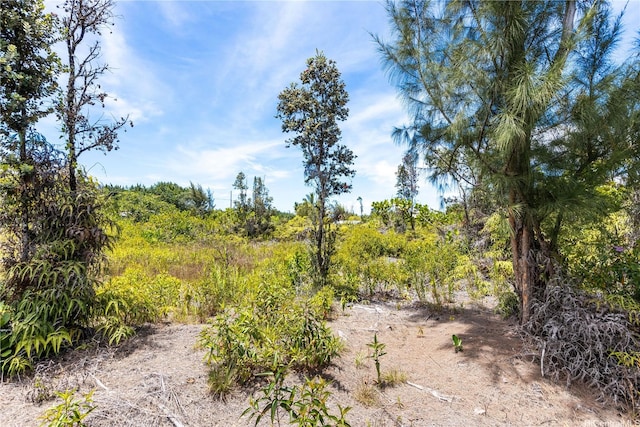 15-929 Lemiwai Rd, Keaau, HI 96749