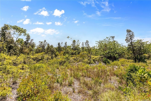15-929 Lemiwai Rd, Keaau, HI 96749