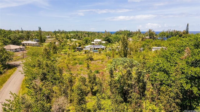 15-929 Lemiwai Rd, Keaau, HI 96749