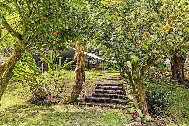 15-1518 20th Ave, Keaau, HI 96749 - view of yard