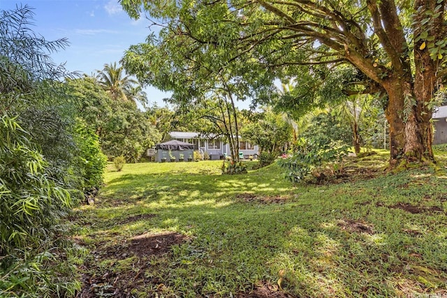 15-1518 20th Ave, Keaau, HI 96749 - view of grassy yard
