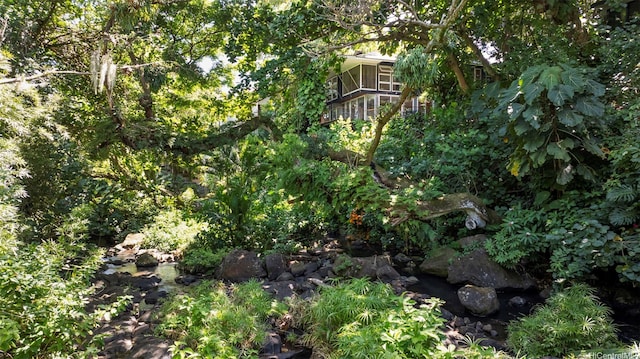 3233 Allan Pl, Honolulu, HI 96817 - view of nature