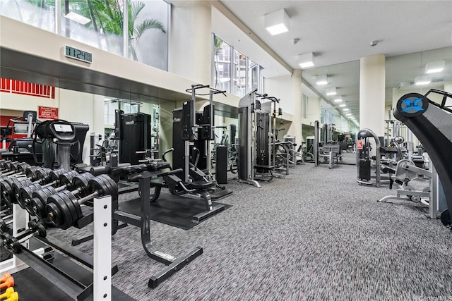 1212 Nuuanu Ave Unit 1104, Honolulu, HI 96817 - workout area with healthy amount of natural light, a high ceiling, and carpet