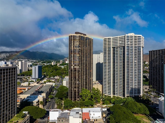 1212 Nuuanu Ave Unit 1309, Honolulu, HI 96817 - photo 10