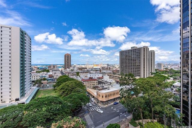 1212 Nuuanu Ave Unit 1309, Honolulu, HI 96817 - photo 12
