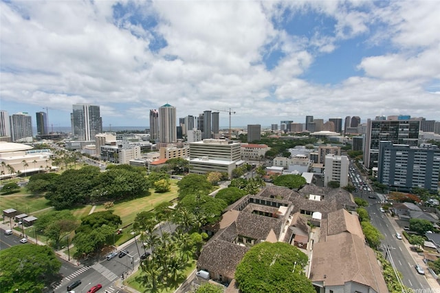1221 Victoria St Unit 2301, Honolulu, HI 96814 - skyline view