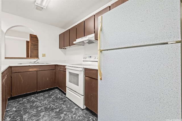 94-011 Kuahelani Ave Unit 135, Mililani, HI 96789 - kitchen with white appliances, under cabinet range hood, light countertops, and dark brown cabinets