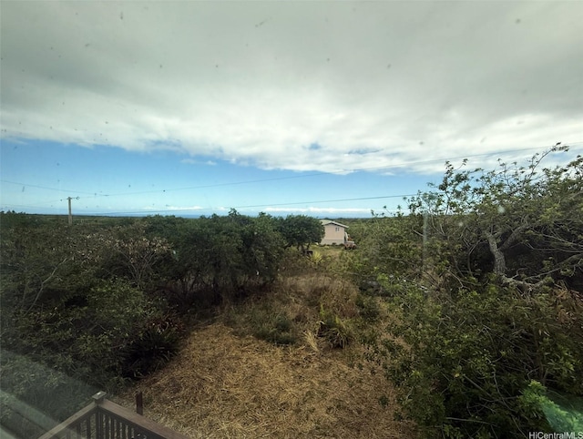 94-6342 Makai St, Naalehu, HI 96772 - view of local wilderness