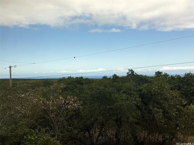 94-6342 Makai St, Naalehu, HI 96772 - view of nature