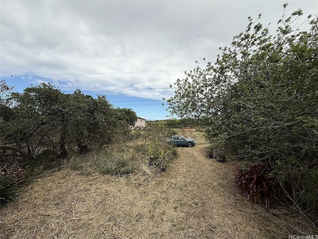 94-6342 Makai St, Naalehu, HI 96772 - view of local wilderness