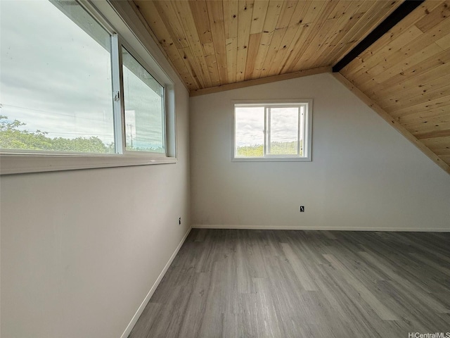 94-6342 Makai St, Naalehu, HI 96772 - additional living space featuring wooden ceiling, wood finished floors, and lofted ceiling