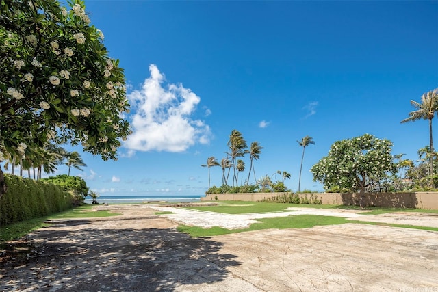 4439 Kahala Ave, Honolulu, HI 96816 - photo 10