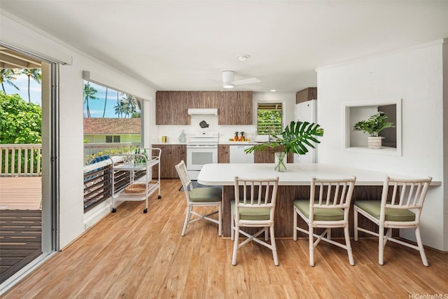 1122 Mokulua Dr, Kailua, HI 96734 - photo 7