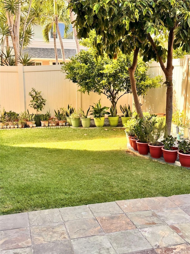91-1200 Keaunui Dr Unit 309, Ewa Beach, HI 96706 - view of fenced backyard
