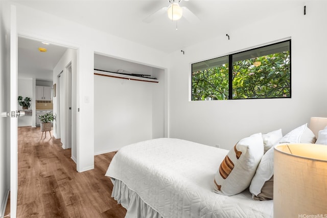 669-B Kihapai St, Kailua, HI 96734 - photo 11