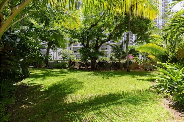 425 Ena Rd Unit 308C, Honolulu, HI 96815 - photo 10
