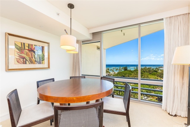 223 Saratoga Rd Unit 1203, Honolulu, HI 96815 - photo 12