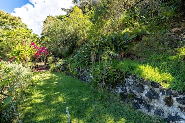 1560 Murphy St Unit A, Honolulu, HI 96819 - photo 15