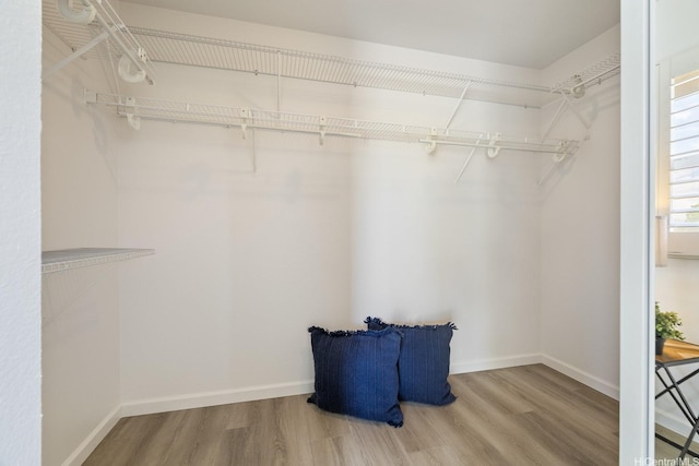 91-497 Kuhialoko St, Ewa Beach, HI 96706 - spacious closet with wood finished floors