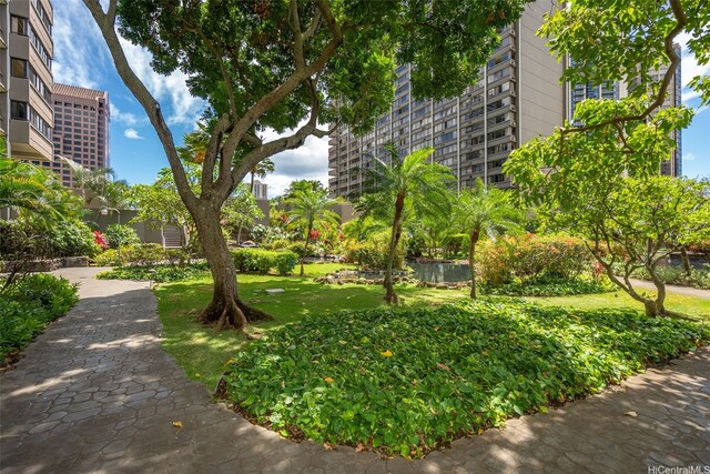 1255 Nuuanu Ave Unit E2410, Honolulu, HI 96817 - photo 20