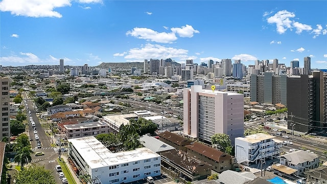 1414 Alexander St Unit 503, Honolulu, HI 96822 - photo 21