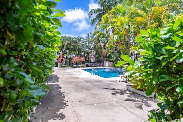 1735 Dole St Unit 106, Honolulu, HI 96822 - photo 14