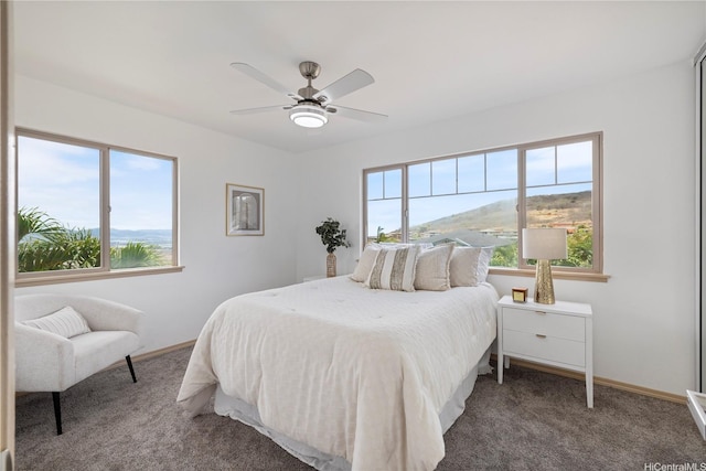 92-1028 Luawainui St, Kapolei, HI 96707 - photo 16