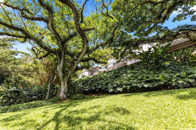 187 Dowsett Ave, Honolulu, HI 96817 - photo 2