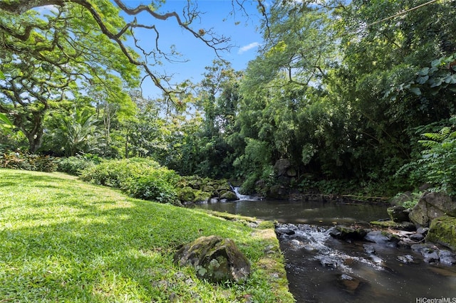 187 Dowsett Ave, Honolulu, HI 96817 - photo 5