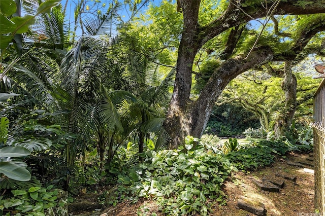 187 Dowsett Ave, Honolulu, HI 96817 - photo 8