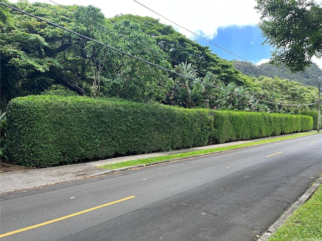 187 Dowsett Ave, Honolulu, HI 96817 - photo 10