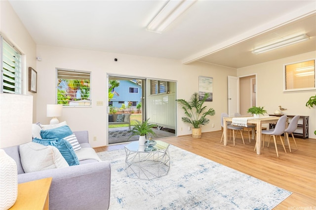410 Kalama St Unit D, Kailua, HI 96734 - photo 9