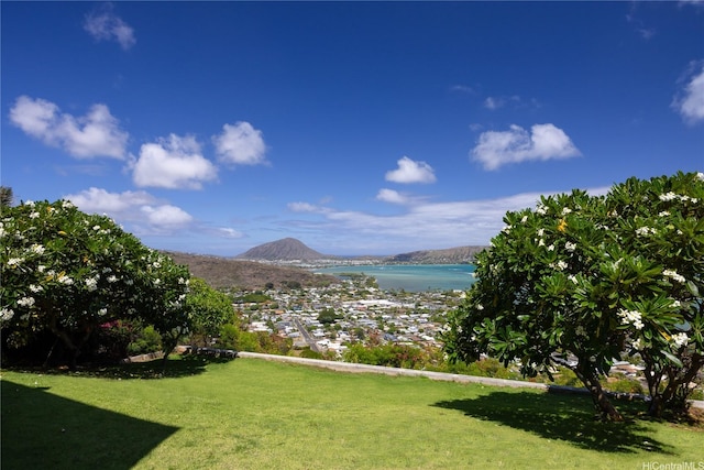 471 Maono Loop, Honolulu, HI 96821 - photo 21
