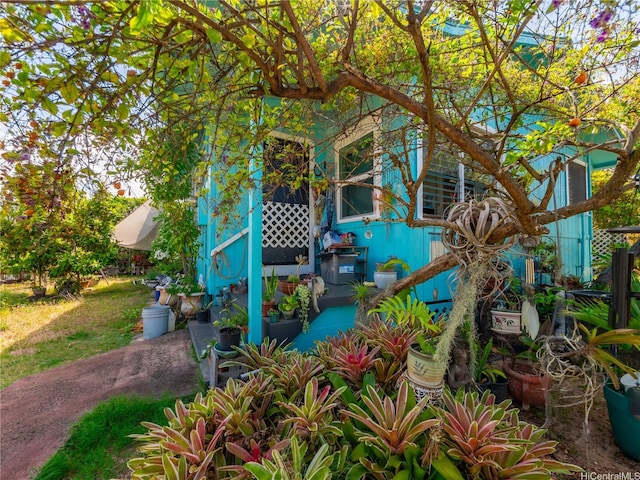 338 Manono St Unit B, Kailua, HI 96734 - photo 7