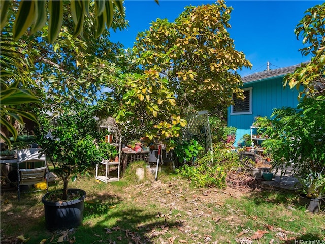338 Manono St Unit B, Kailua, HI 96734 - photo 18