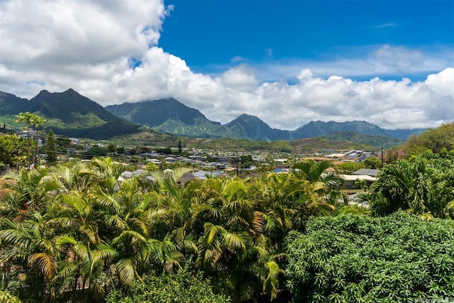 1338 Kuuna Pl, Kailua, HI 96734 - photo 25