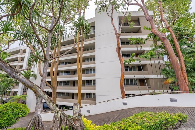 965 Prospect St Unit 209, Honolulu, HI 96822 - photo 22