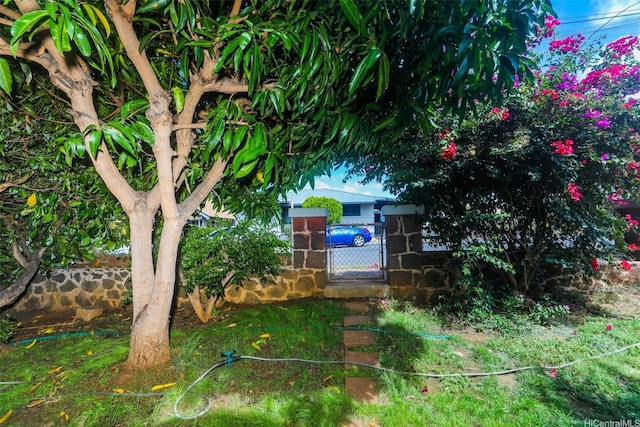 1017 2nd Ave, Honolulu, HI 96816 - photo 23