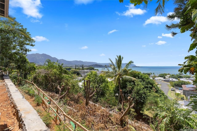 44-737 Hoonani Pl, Kaneohe, HI 96744 - photo 11