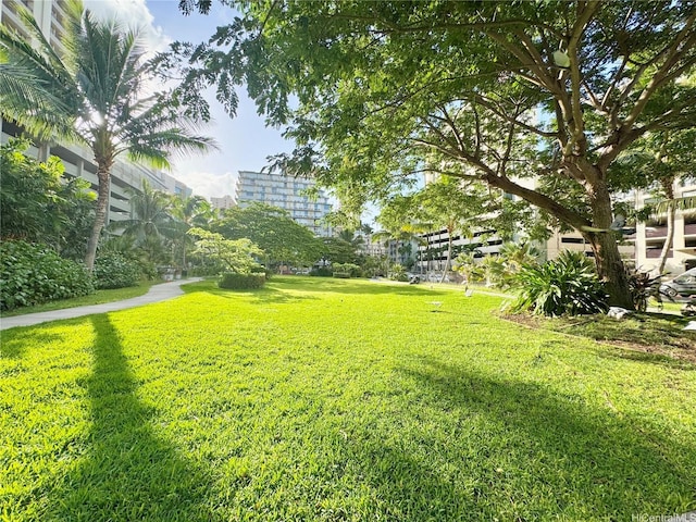 435 Seaside Ave Unit 709, Honolulu, HI 96815 - photo 24