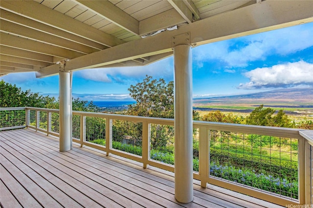 729 S Alu Rd, Wailuku, HI 96793 - photo 23