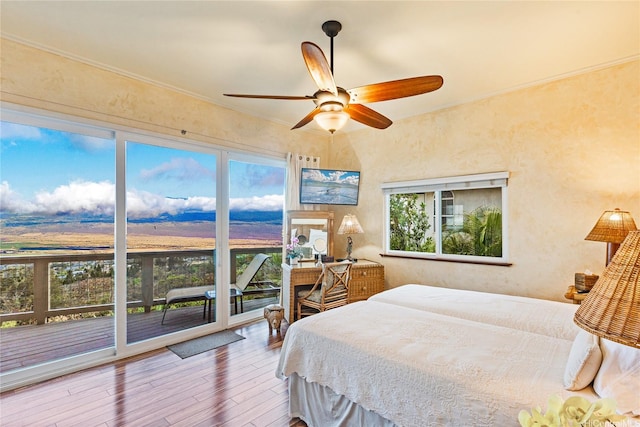 729 S Alu Rd, Wailuku, HI 96793 - photo 14