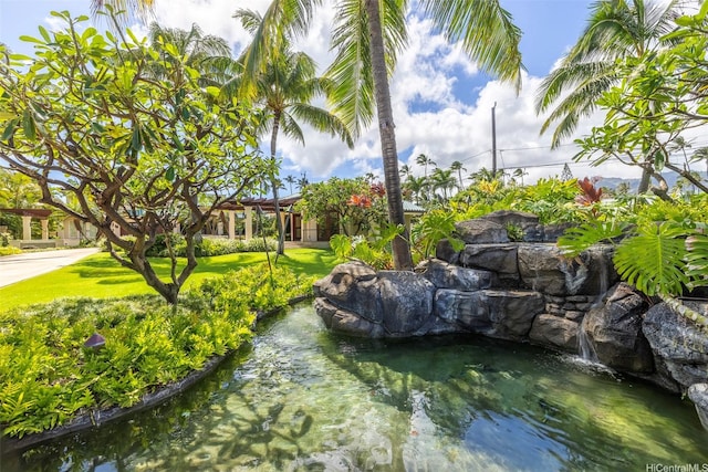 255/257 Portlock Rd, Honolulu, HI 96825 - photo 16